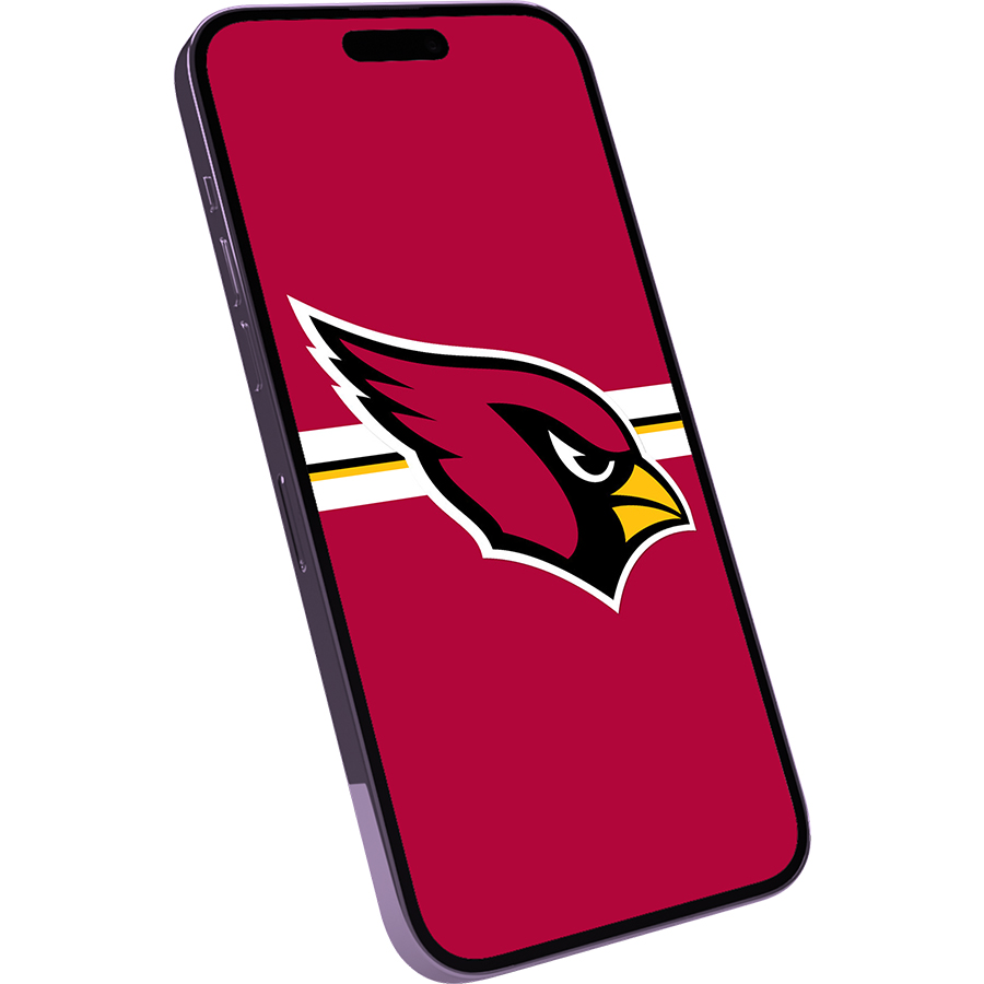 Arizona Cardinals Fans Box
