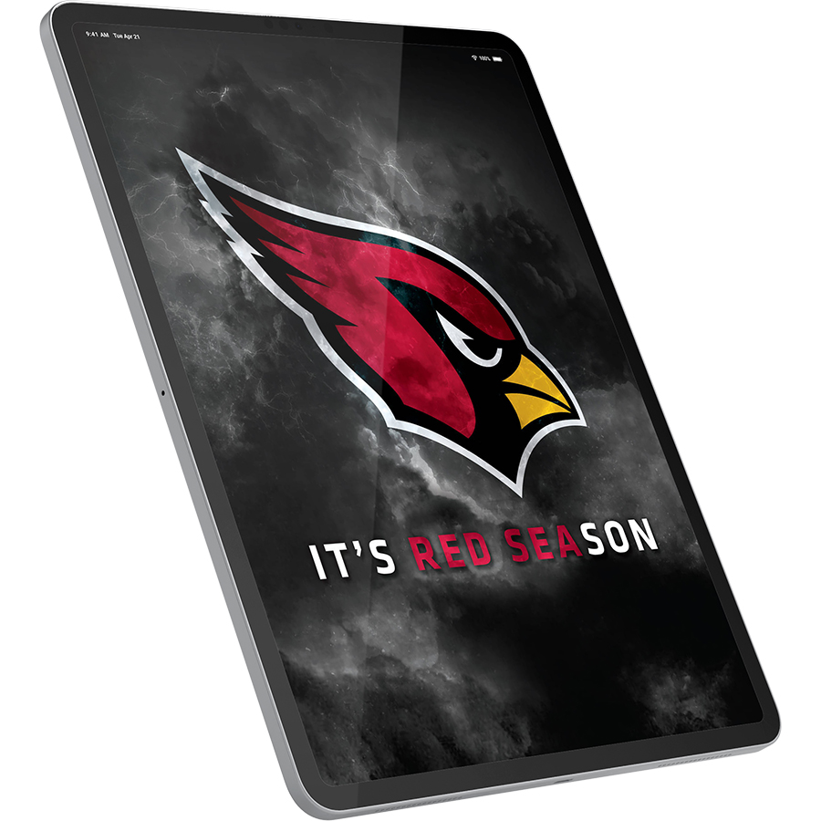 Arizona Cardinals Fans Box