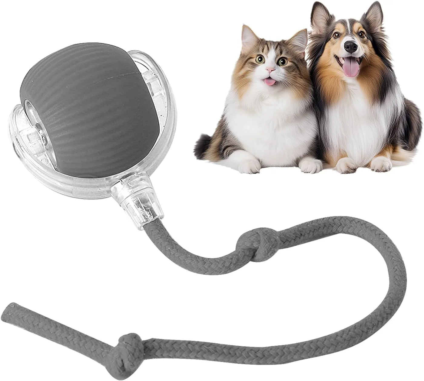 Yopoll interactive pet toy ball