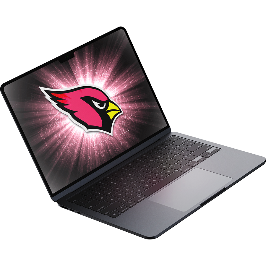 Arizona Cardinals Fans Box