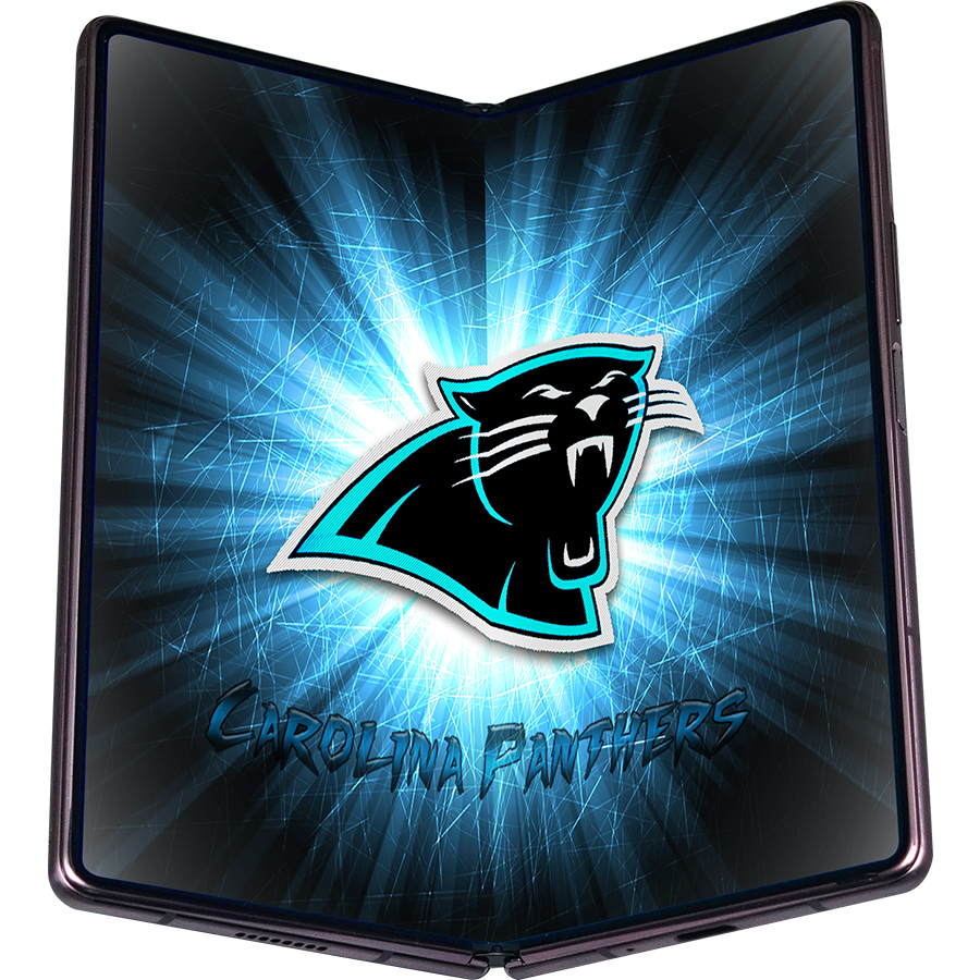 Carolina Panthers Fans Box
