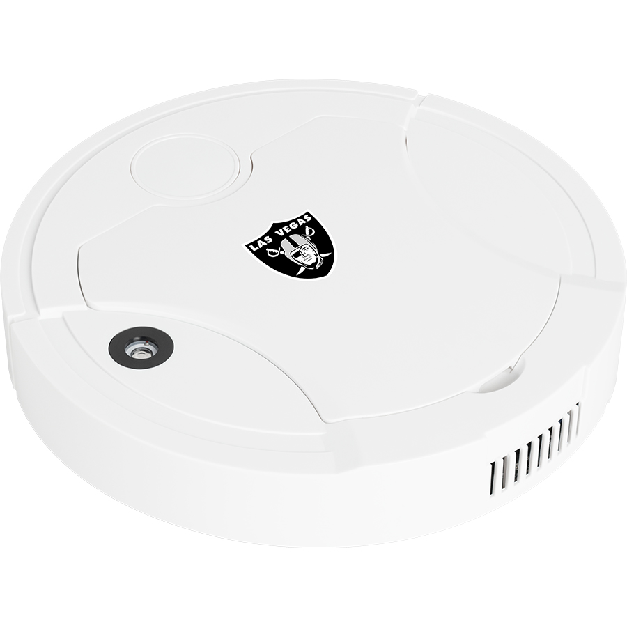Las Vegas Raiders Fans Box