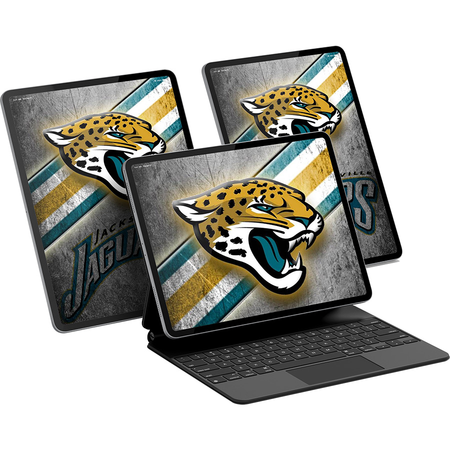 Jacksonville Jaguars Fans Box