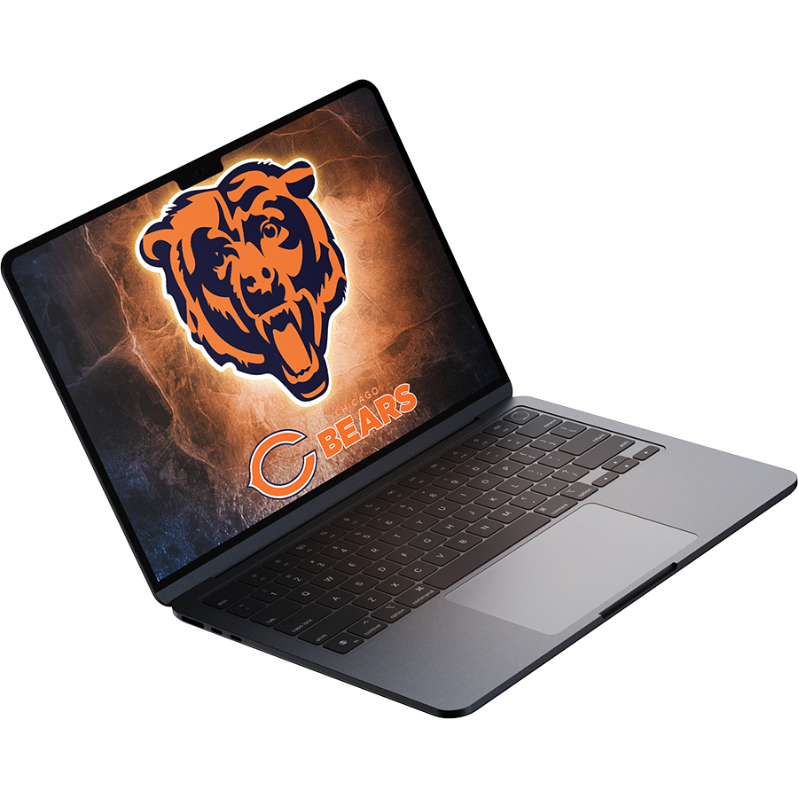 Chicago Bears Fans Box