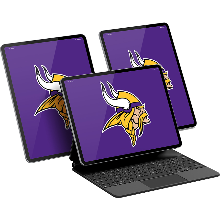 Minnesota Vikings Fans Box