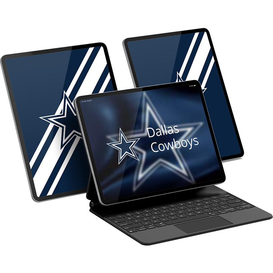 Dallas Cowboys Fans Box