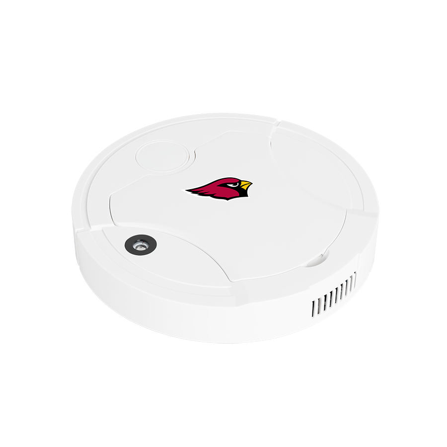 Arizona Cardinals Fans Box