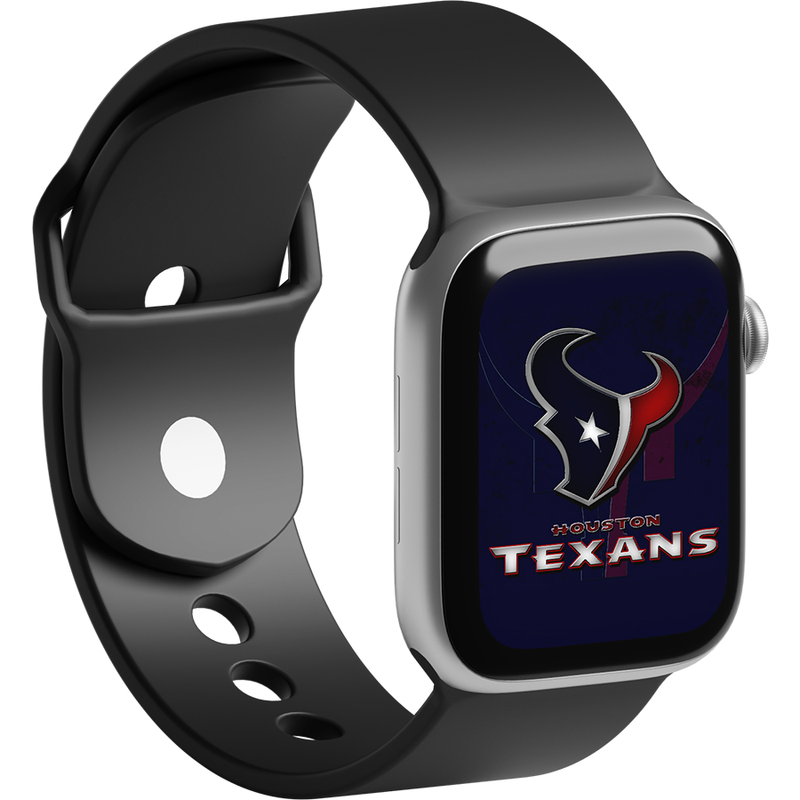 Houston Texans Fans Box