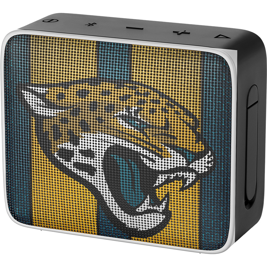 Jacksonville Jaguars Fans Box