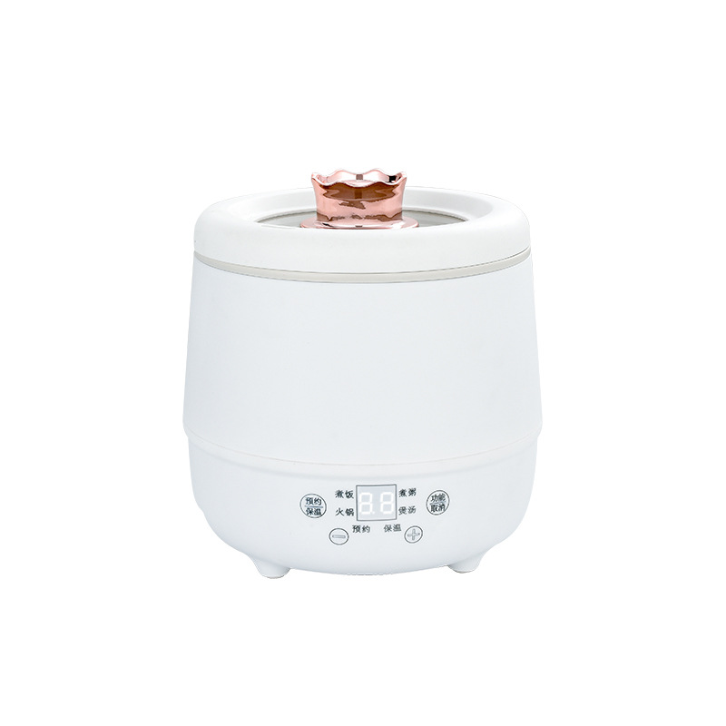 Multifunctional dormitory electric rice cooker for cooking soup and porridge