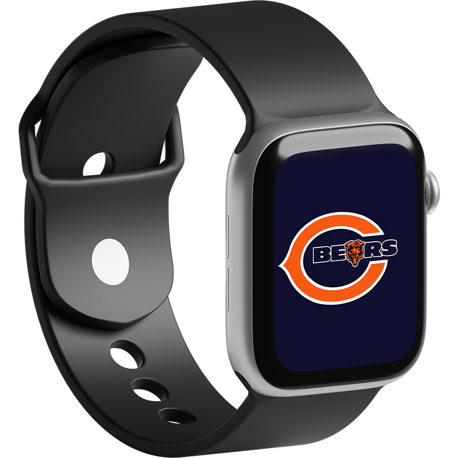 Chicago Bears Fans Box