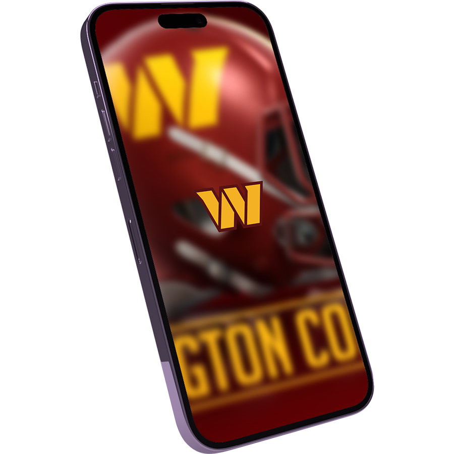 Washington Commanders Fans Box
