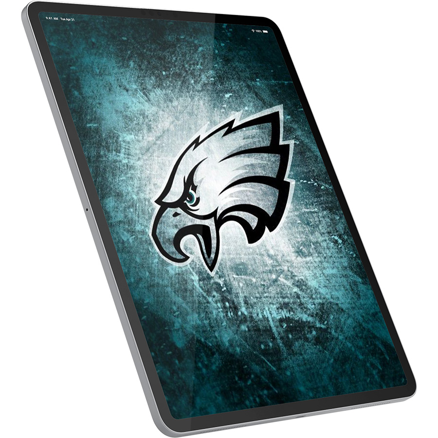 Philadelphia Eagles Fans Box