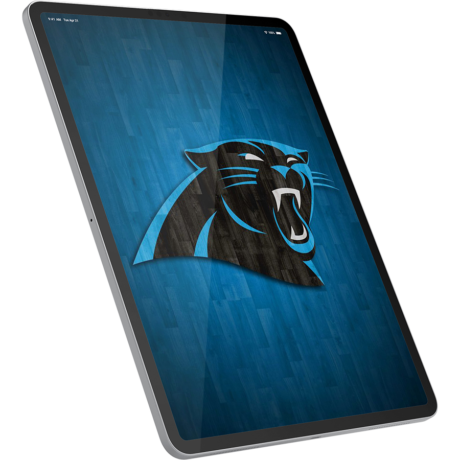 Carolina Panthers Fans Box