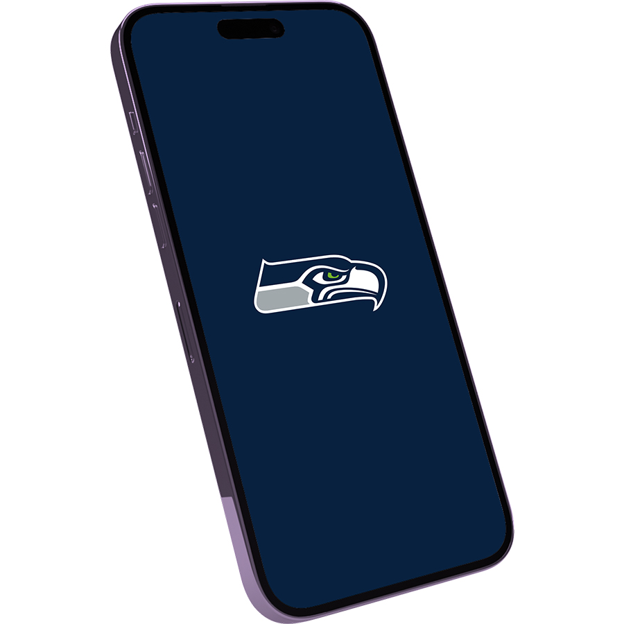 Seattle Seahawks Fans Box