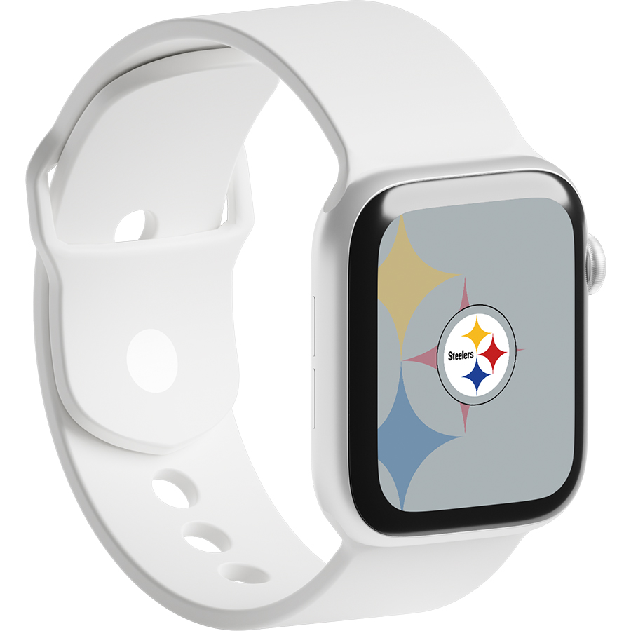 Pittsburgh Steelers Fans Box