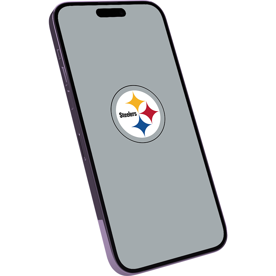 Pittsburgh Steelers Fans Box
