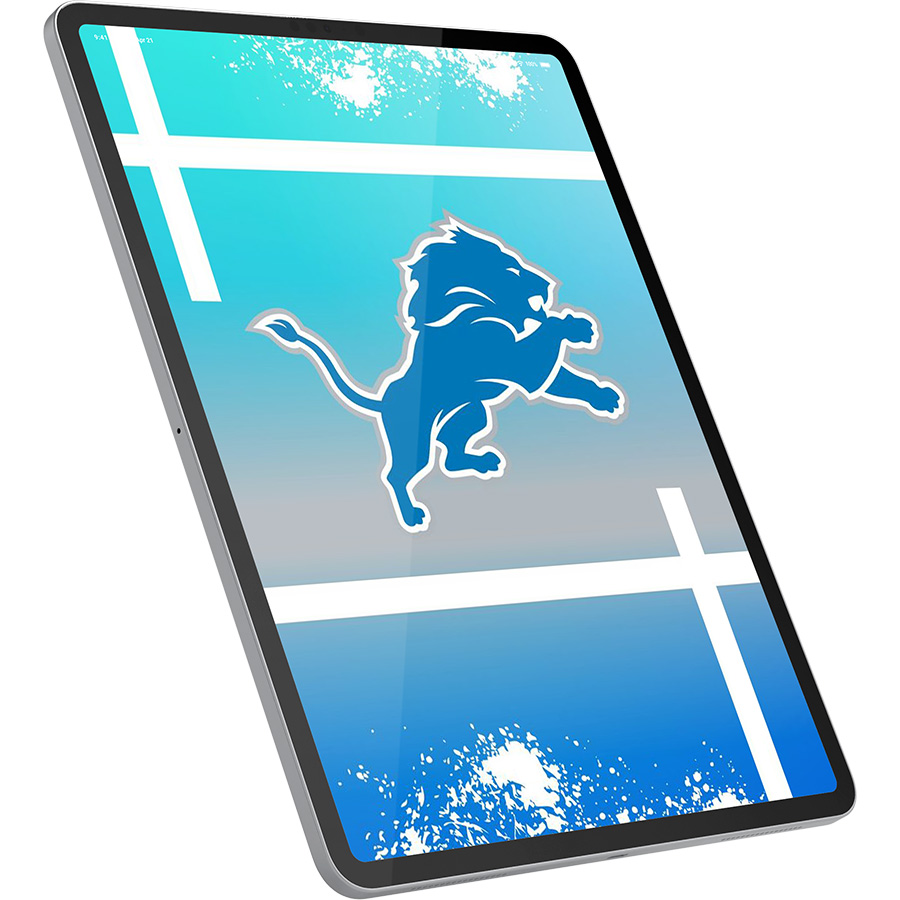 Detroit Lions Fans Box