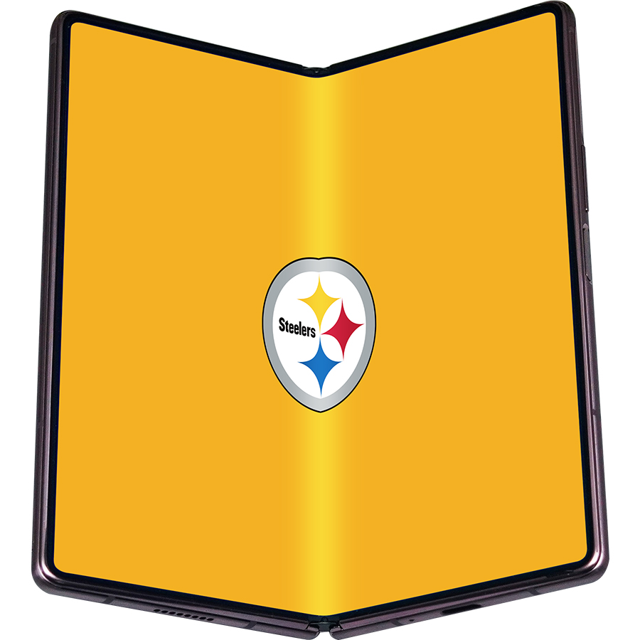 Pittsburgh Steelers Fans Box