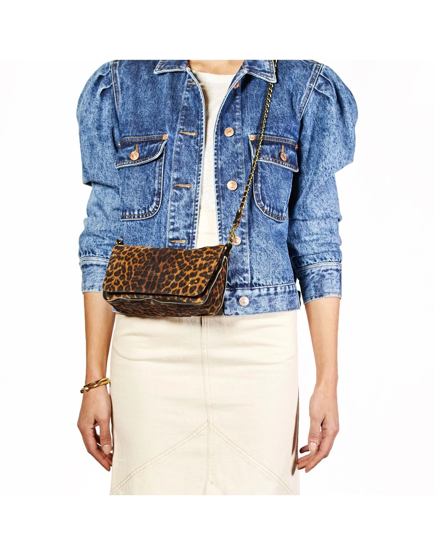 JEROME DREYFUSS - Bobi S - Leo Chamois