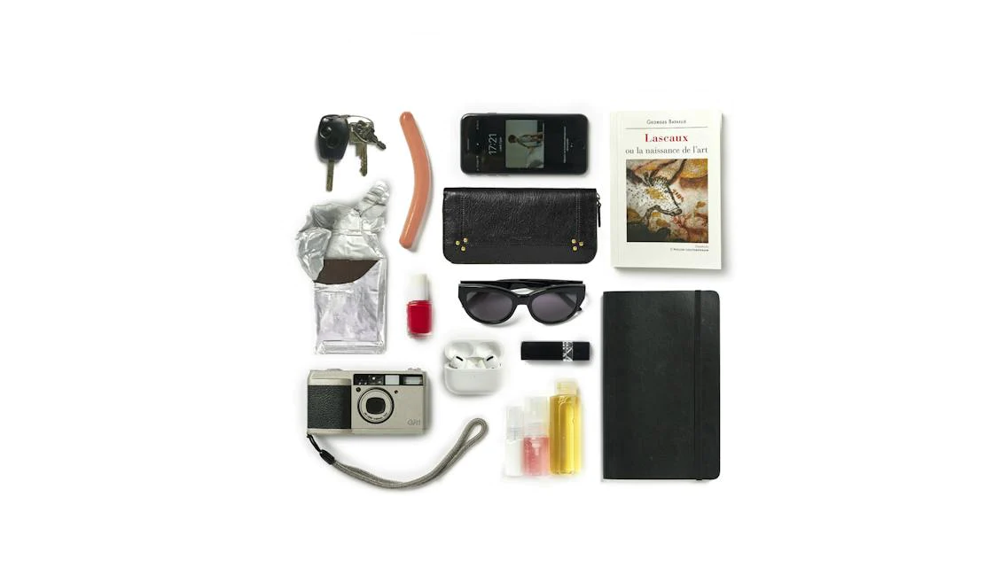 JEROME DREYFUSS - Lulu L - Python Noir