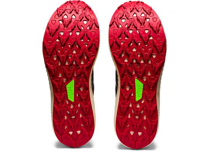 FUJI LITE 2 Black/Electric Red