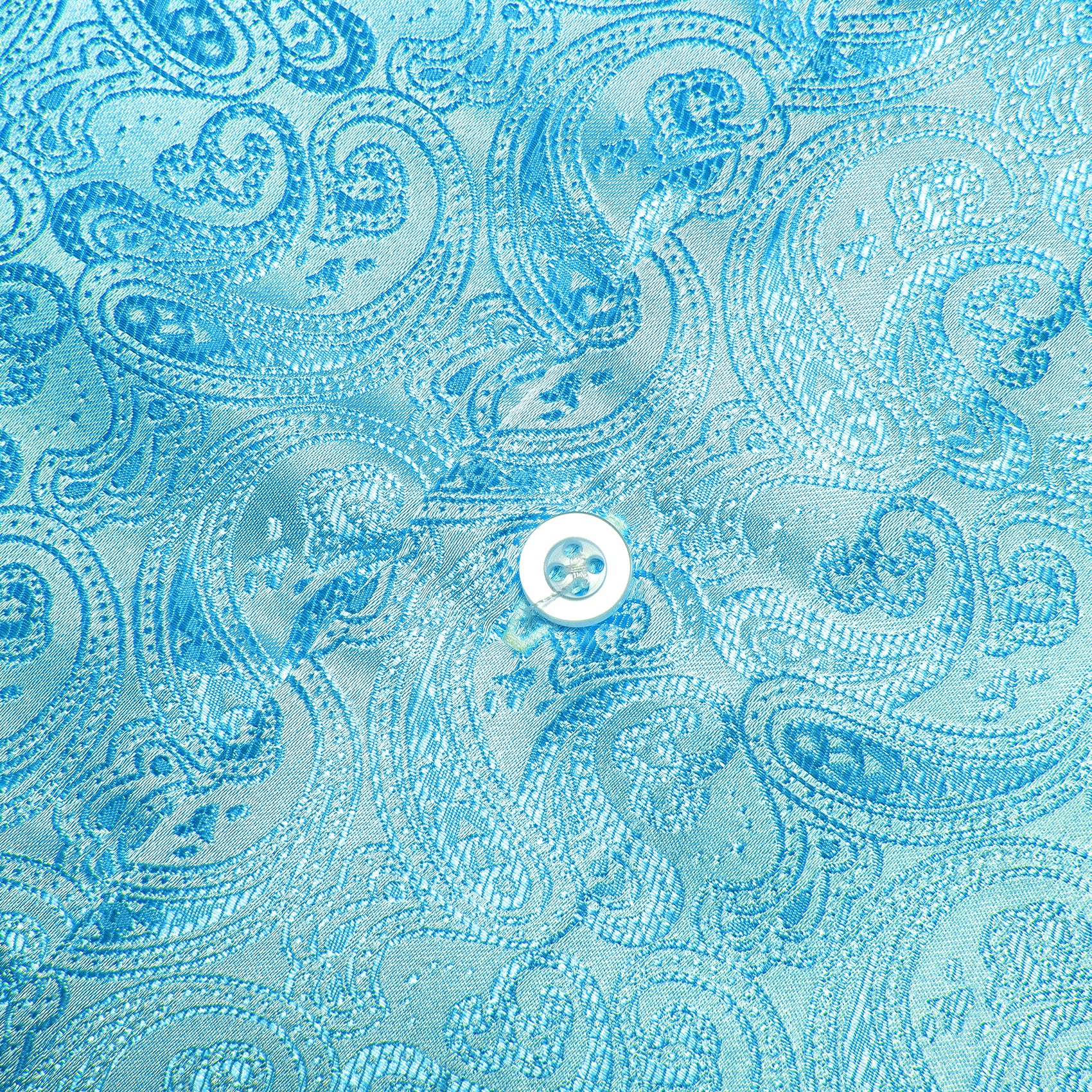 Sky Blue Paisley Pattern Silk Men's Long Sleeve Shirt