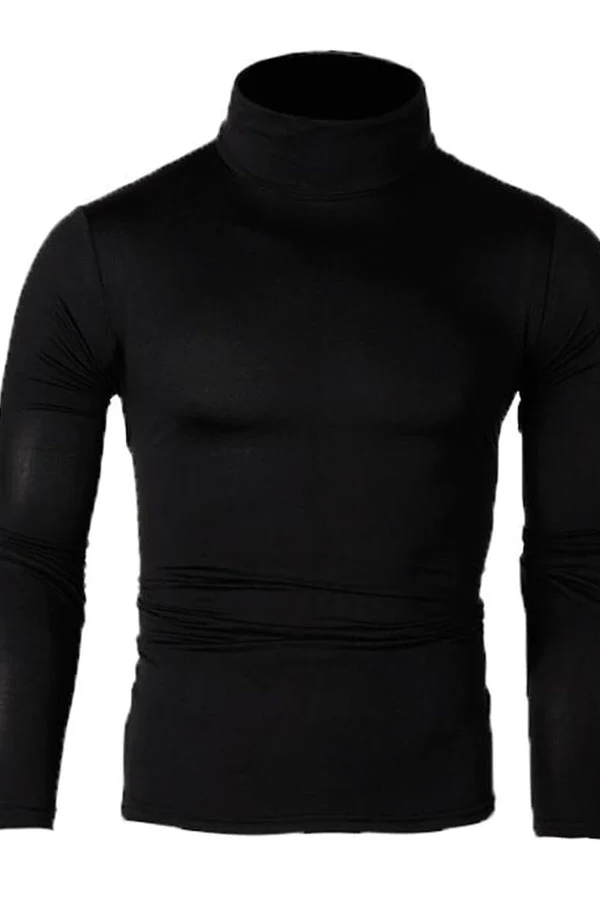 Men Turtleneck Basic Skinny Sweater